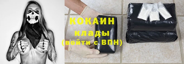 стафф Няндома