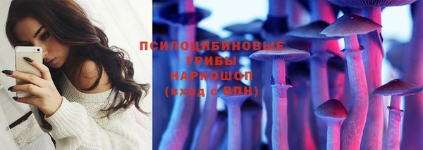 2c-b Нязепетровск