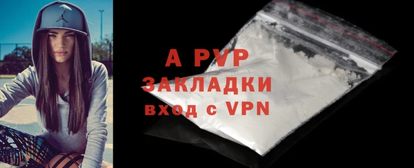 бошки Осинники