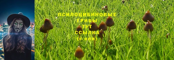 бошки Осинники