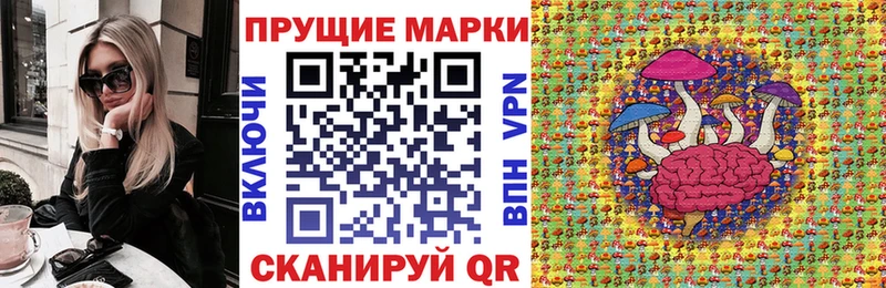 где купить наркоту  Тайга  Наркотические марки 1,8мг 