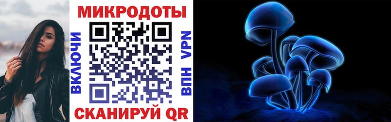 Псилоцибиновые грибы MAGIC MUSHROOMS  продажа наркотиков  Тайга 